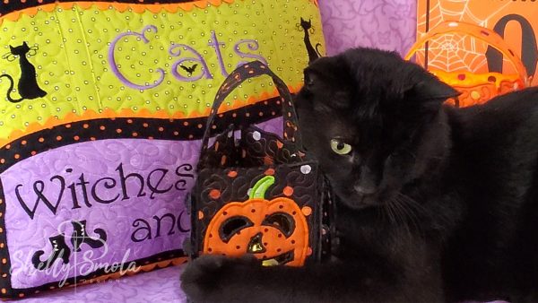 Spooky and the Halloween Lanterns by Shelly Smola