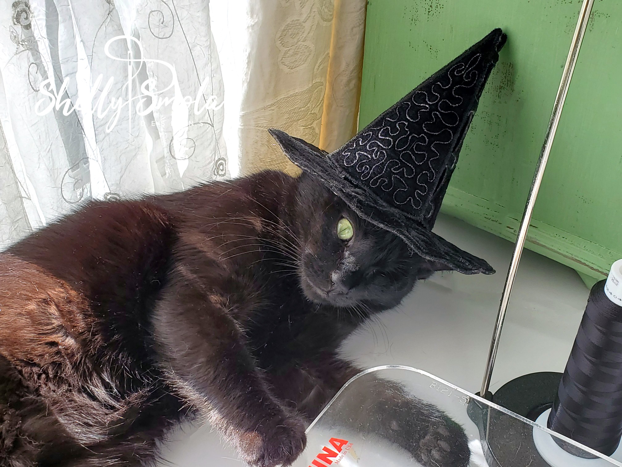 Spooky in the Tricky Treat Toss Hat by Shelly Smola