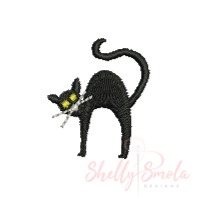 Black Cat by Shelly Smola