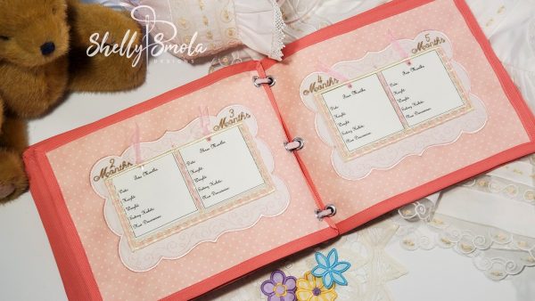 Baby Girl Book by Shelly Smola