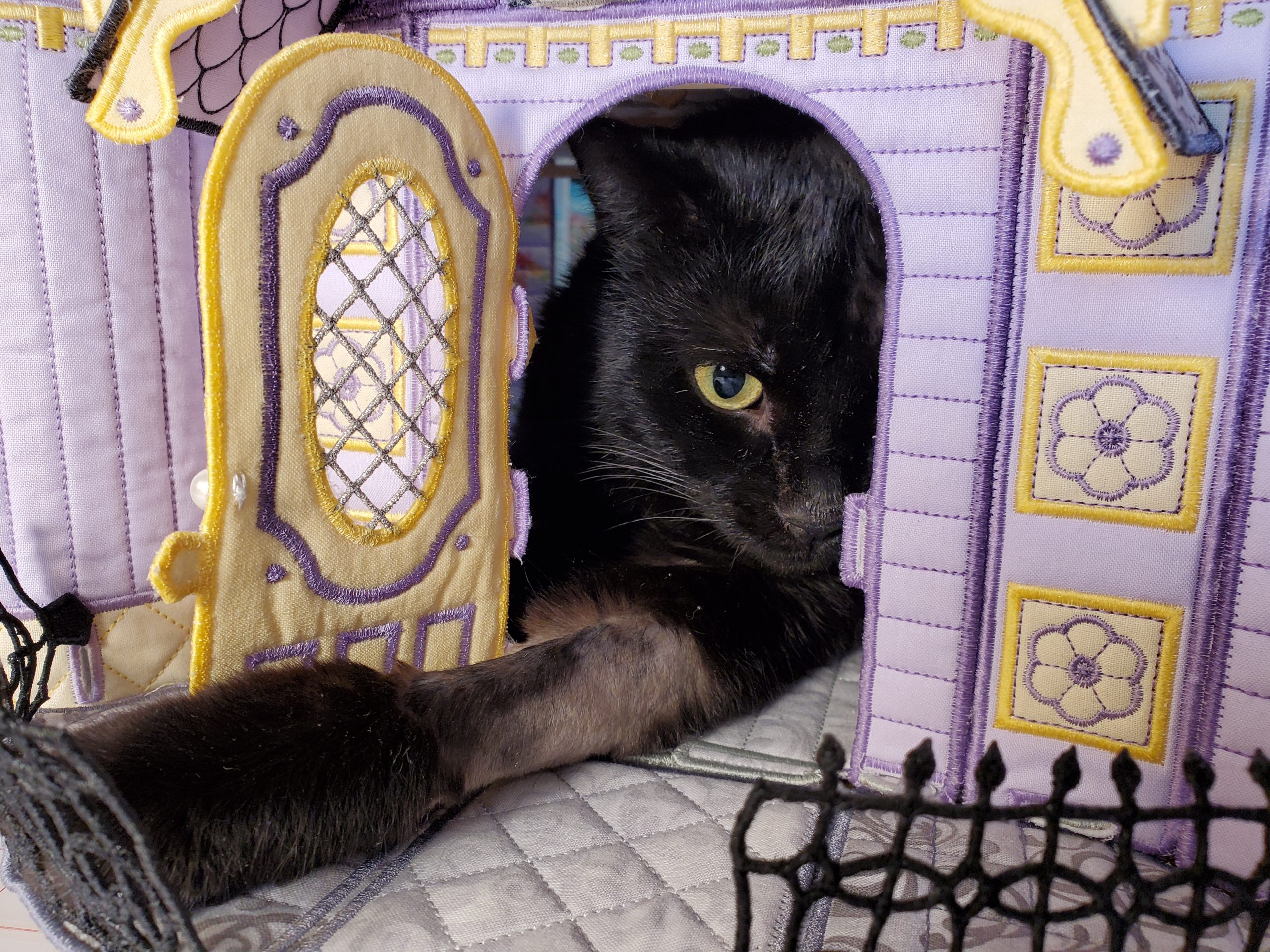 Spooky the Cat A Spooky Story Shelly Smola Designs Shelly Smola
