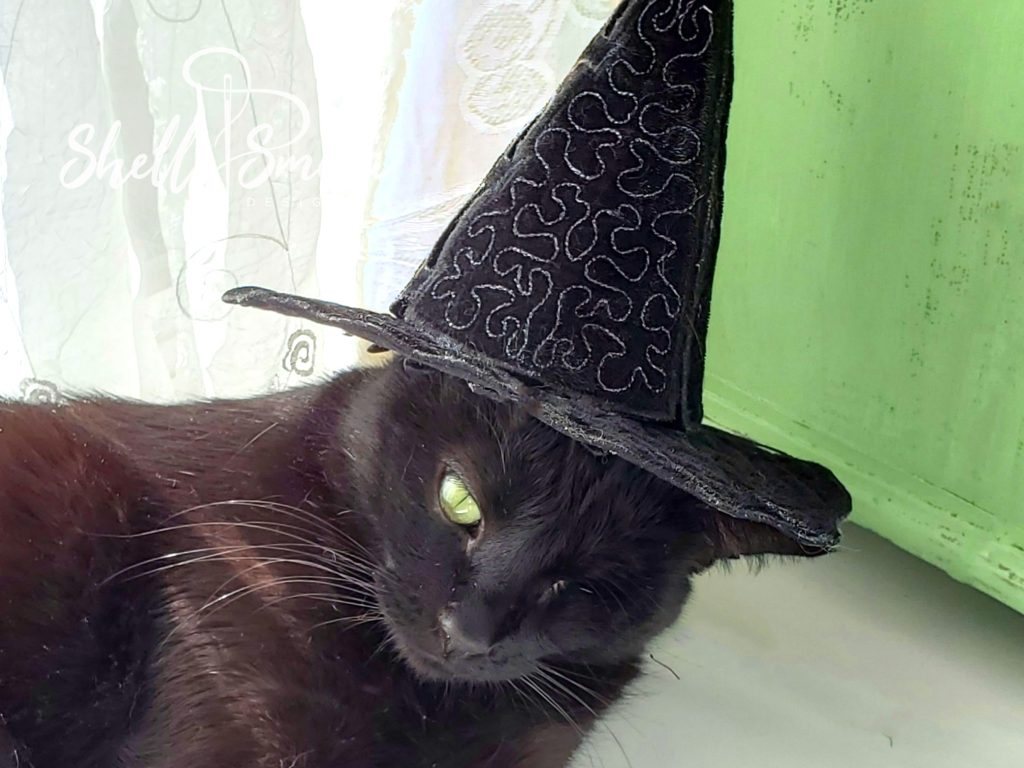 Spooky Wearing a Tricky Treat Toss Hat by Shelly Smola