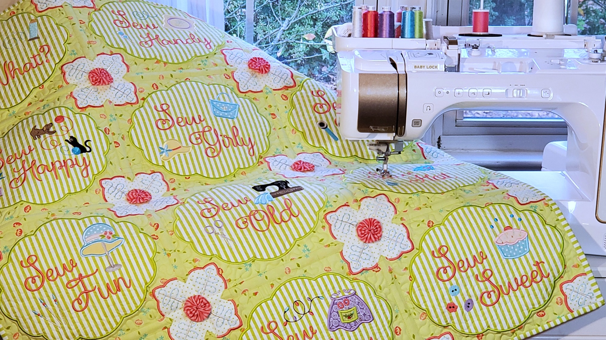 Sew Crazy Quilt by Shelly Smola