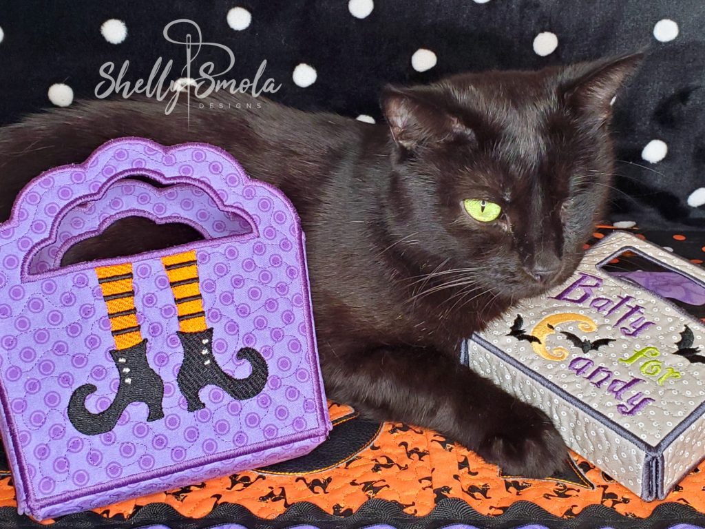 Spooky and His Halloween Handbags by Shelly Smola